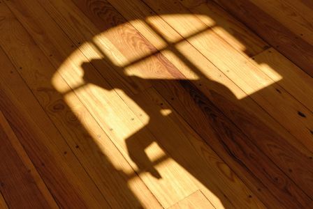 Schatten eines Frauenprofils auf dem Dielenboden
